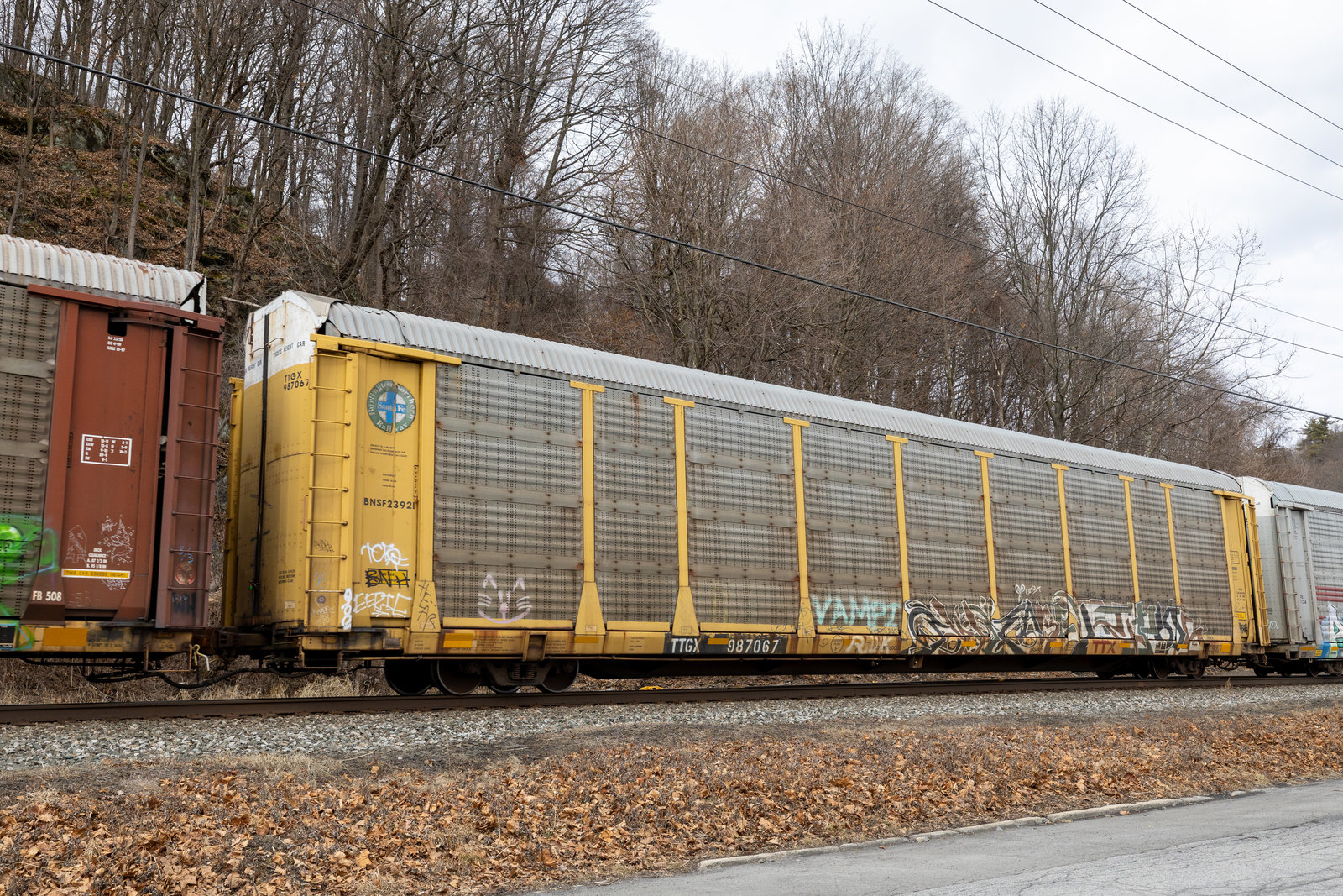 TTGX 987067