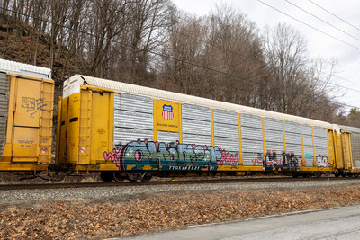 TTGX 965531