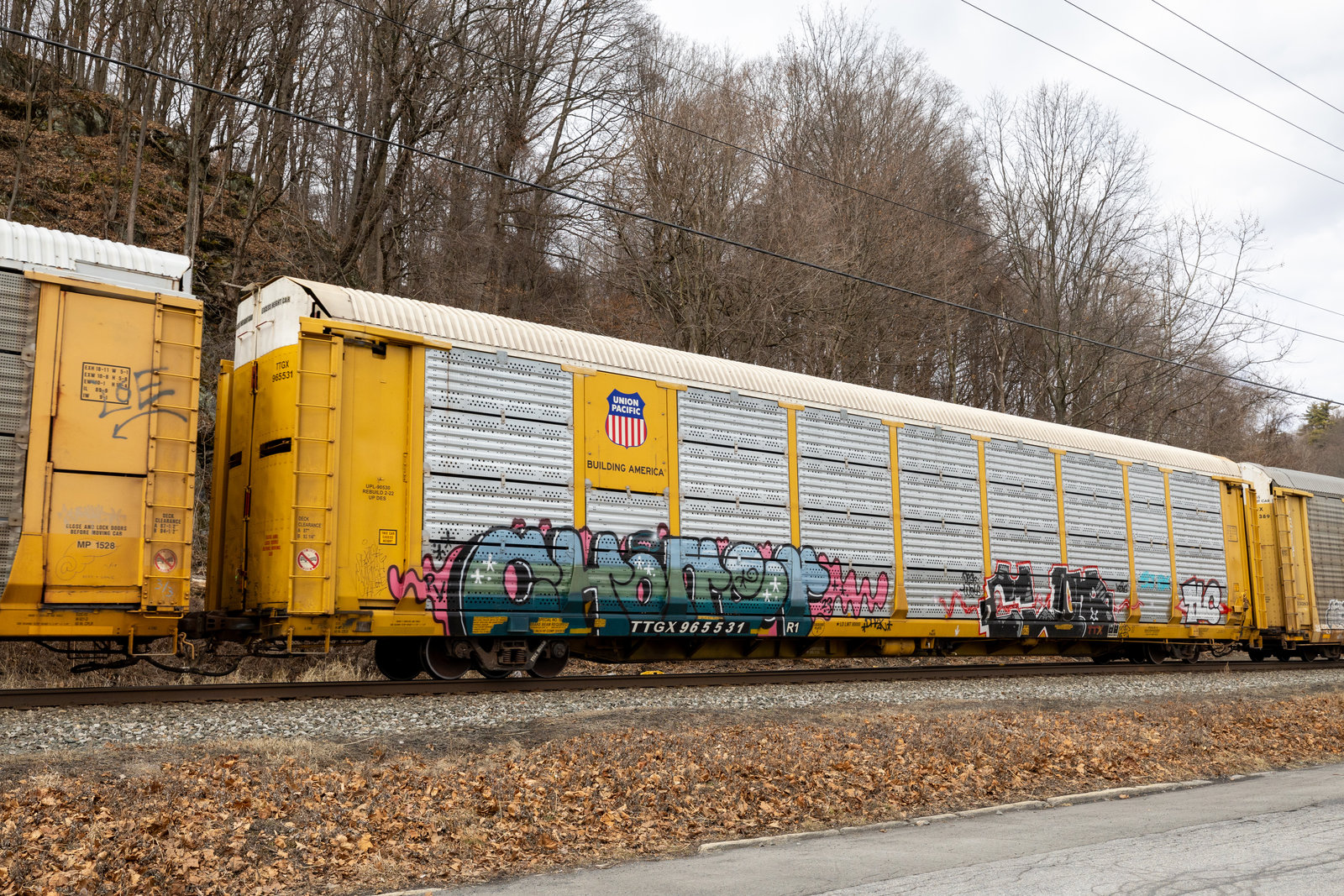 TTGX 965531