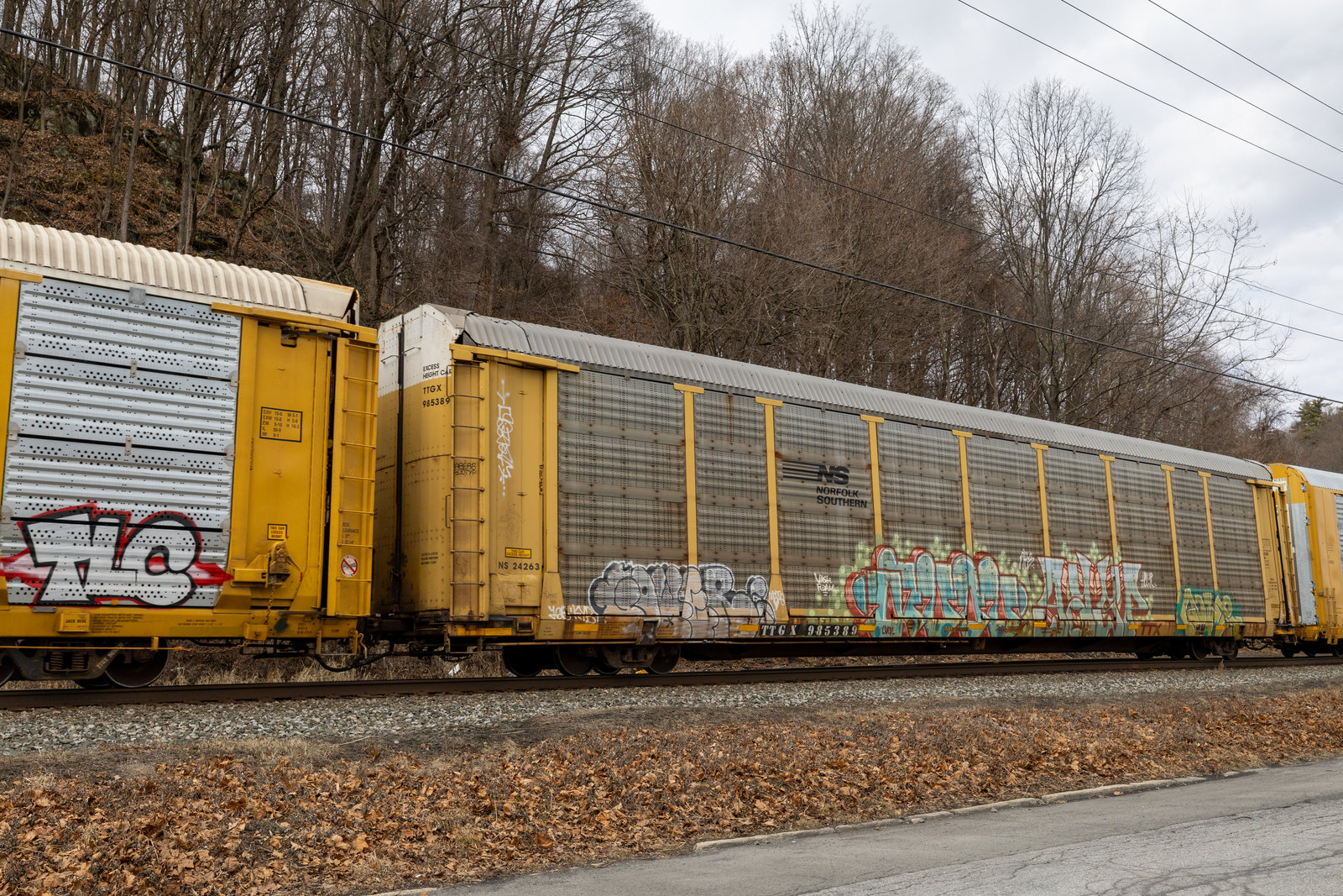 TTGX 985389