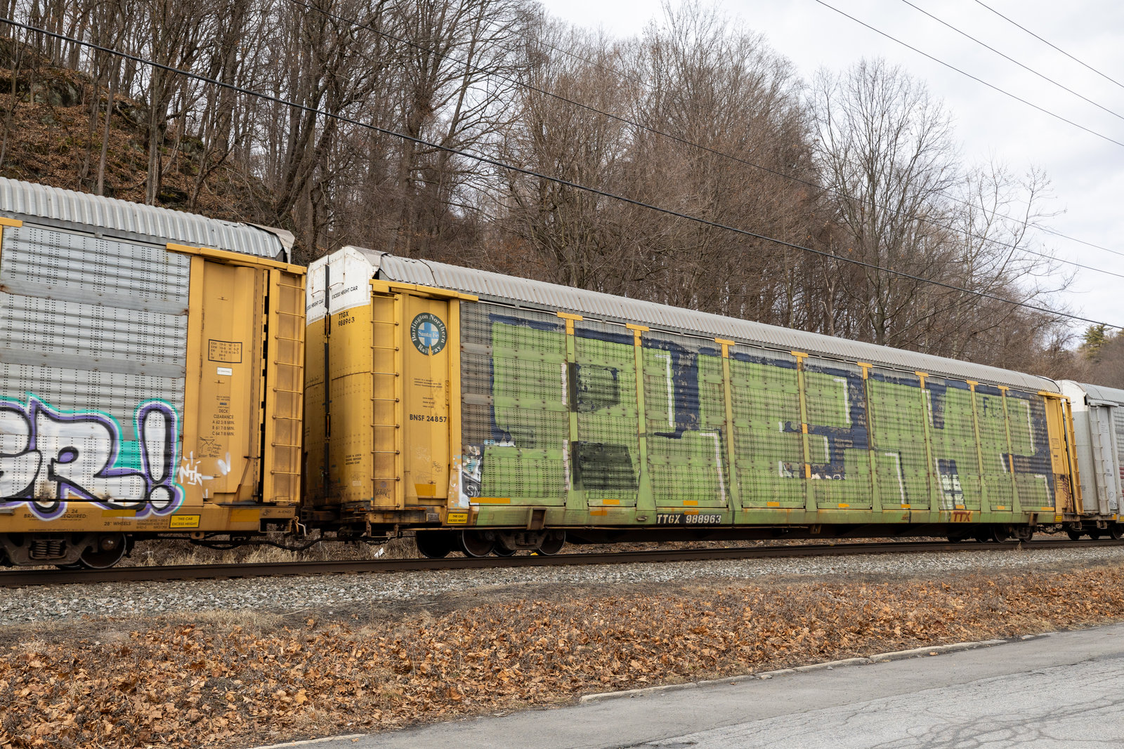 TTGX 988963