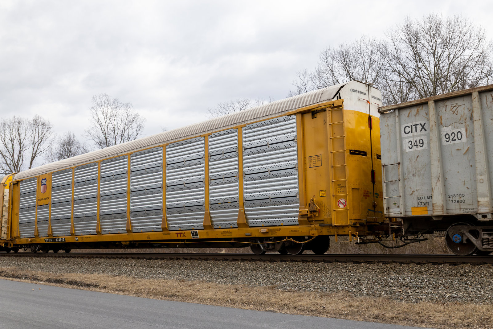 TTGX 974810