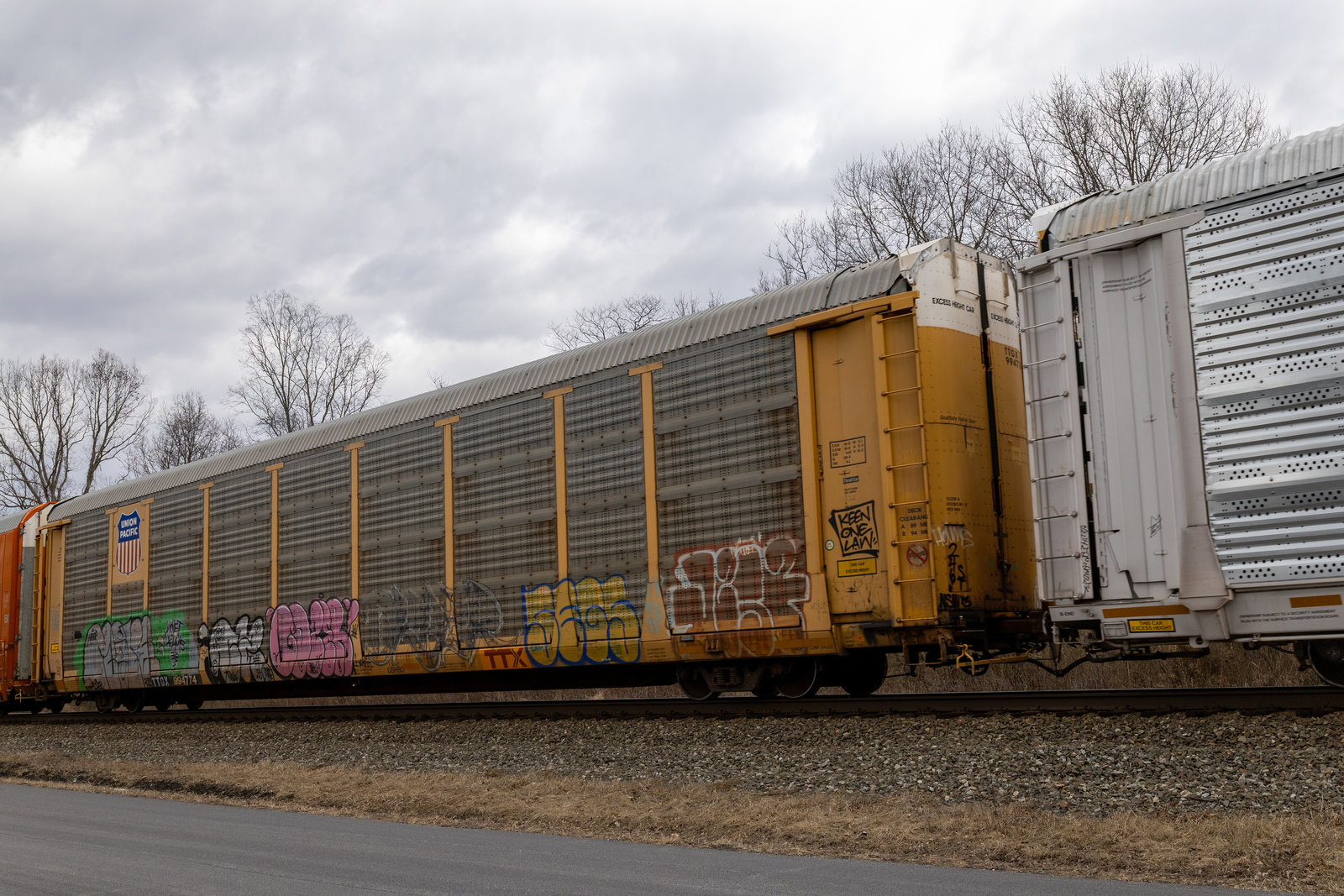 TTGX 994774