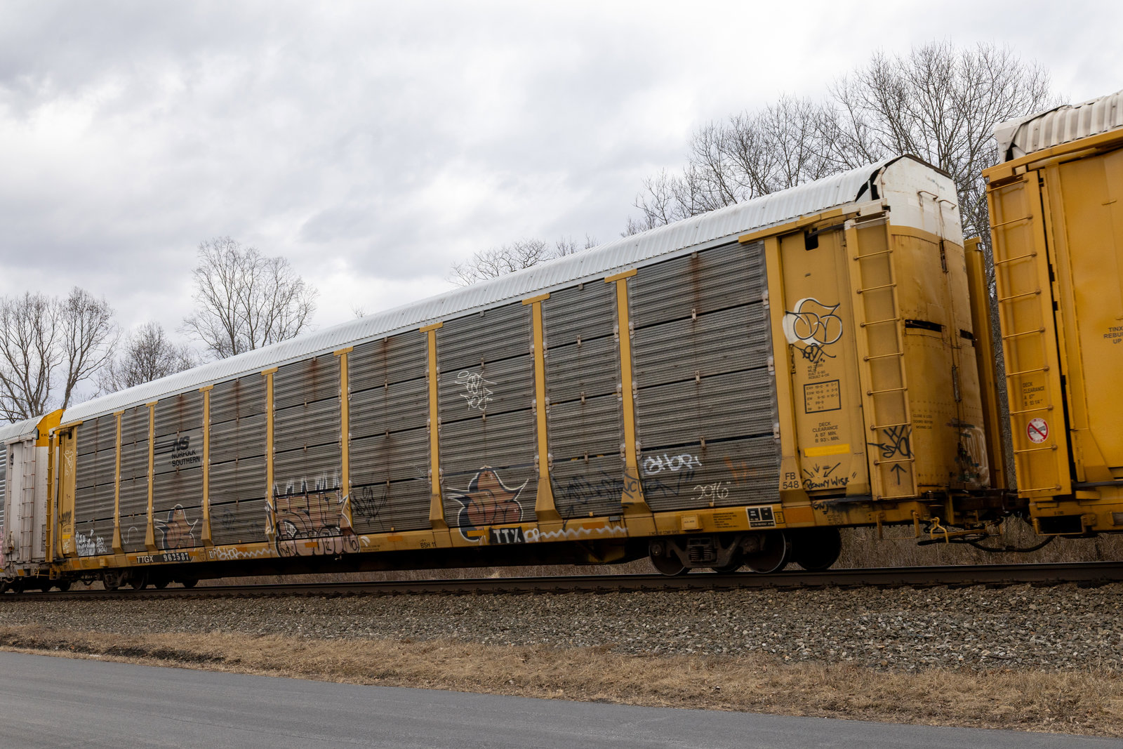 TTGX 962587