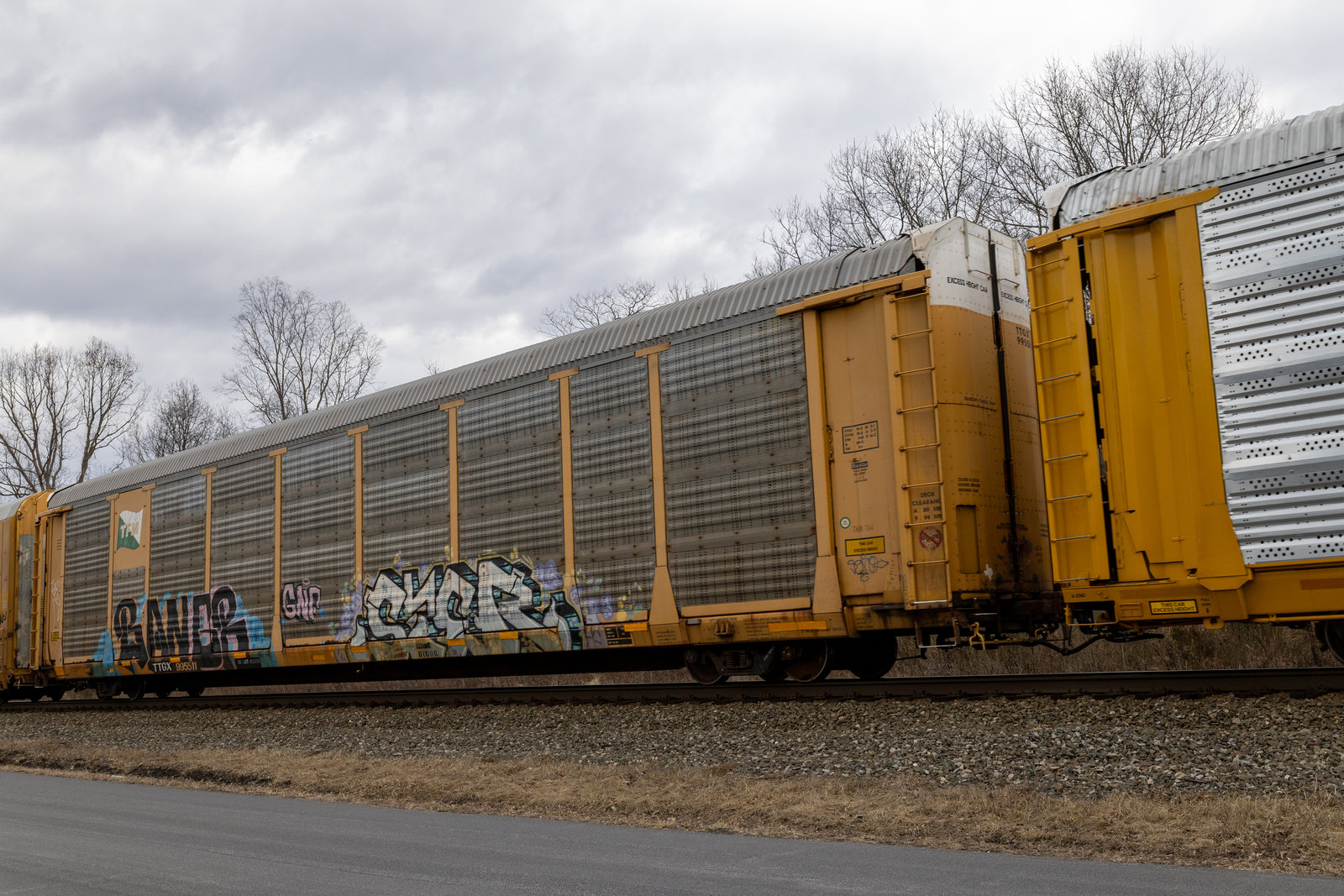 TTGX 995511