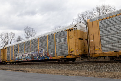 TTGX 979118