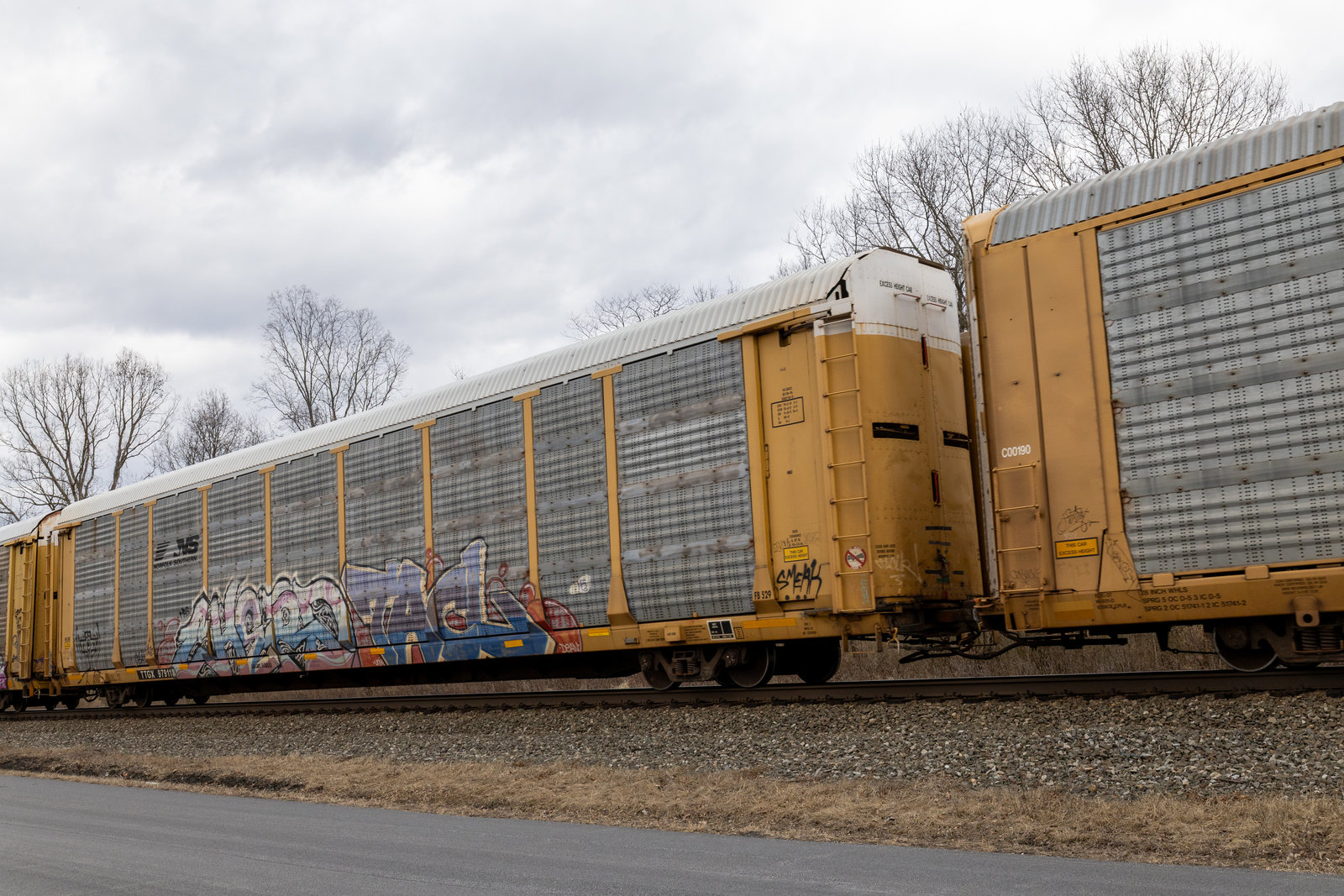 TTGX 979118