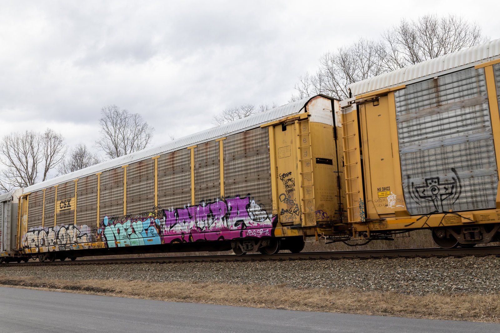 TTGX 160493