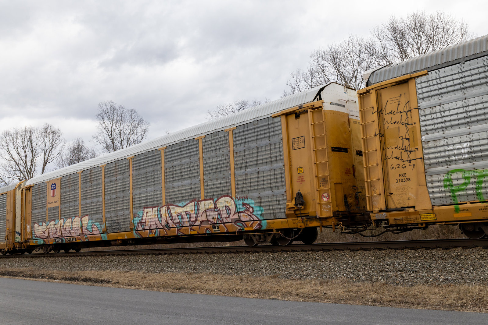 TTGX 981617