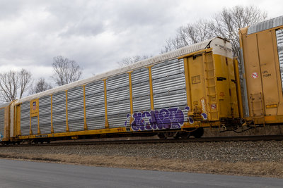 TTGX 981070