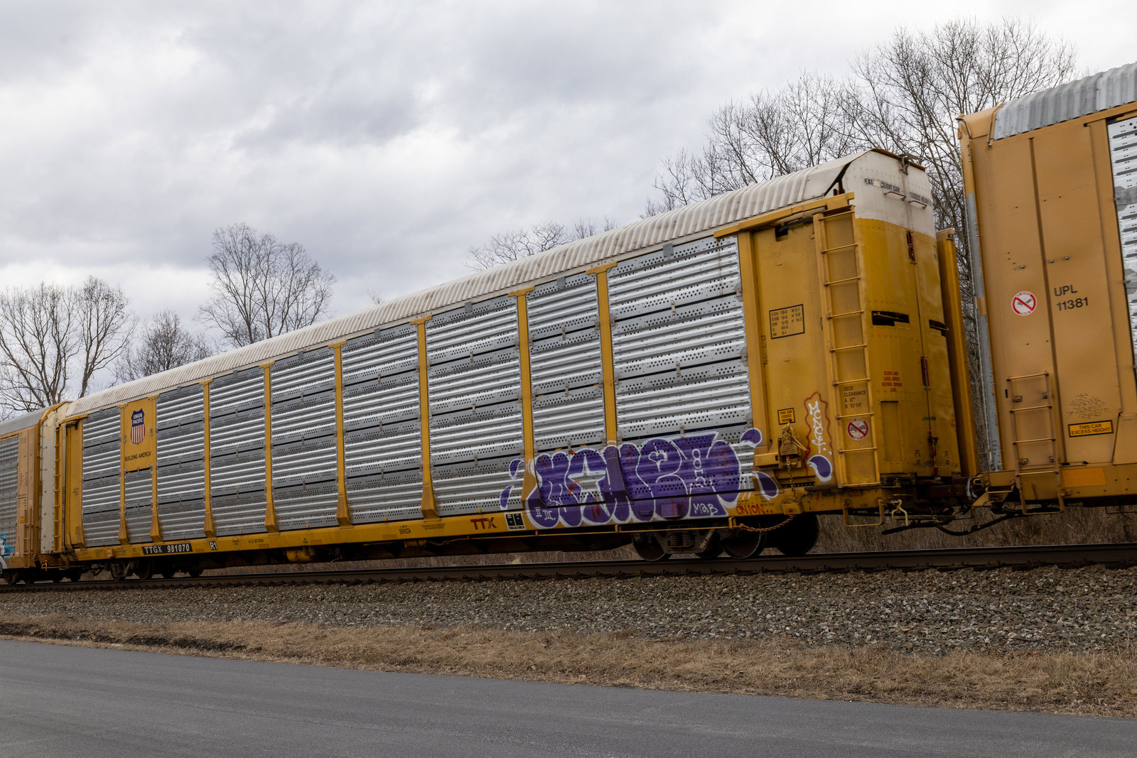 TTGX 981070