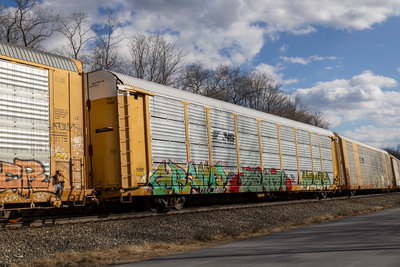 TTGX 981039