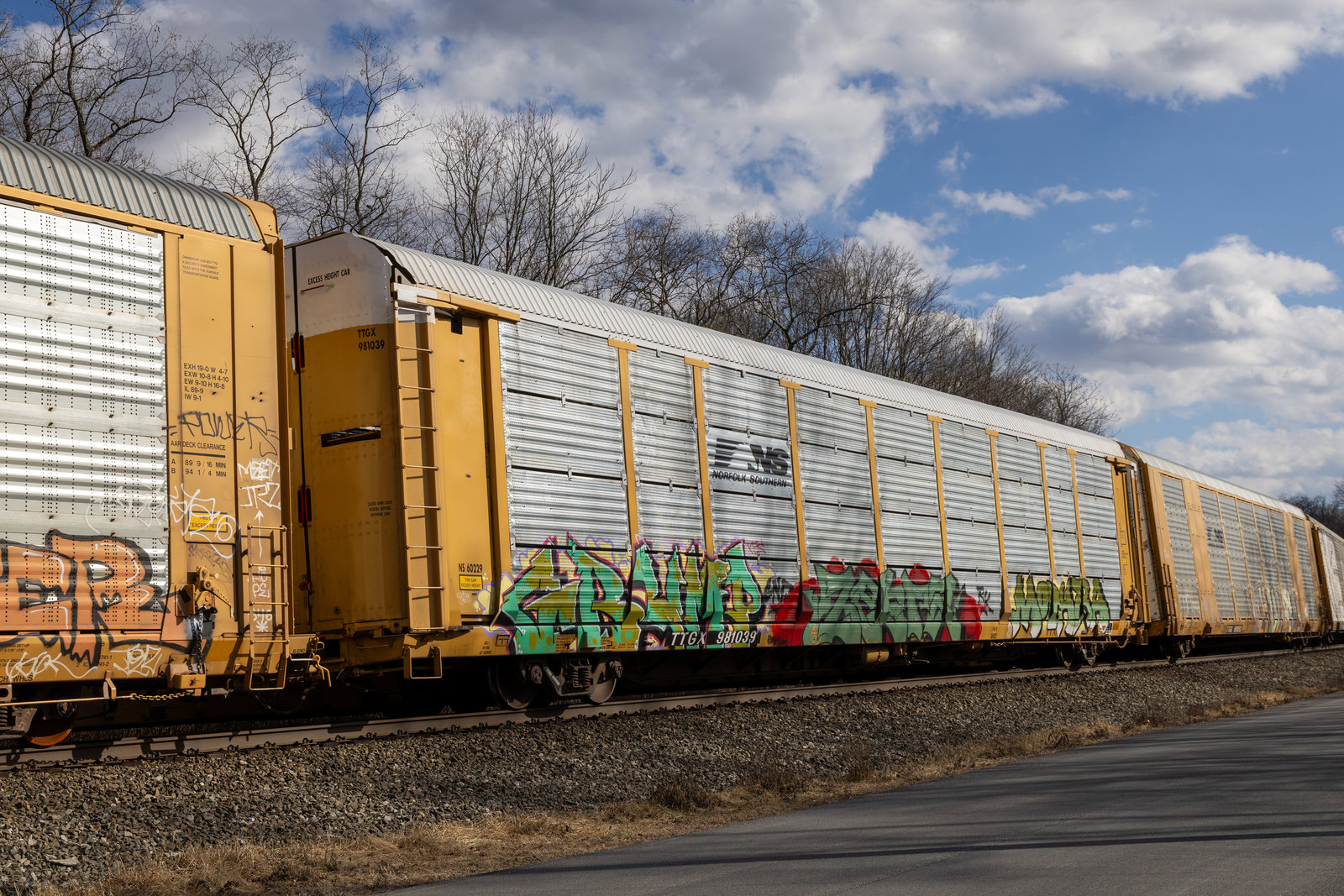 TTGX 981039