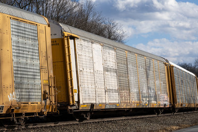 TTGX 985132