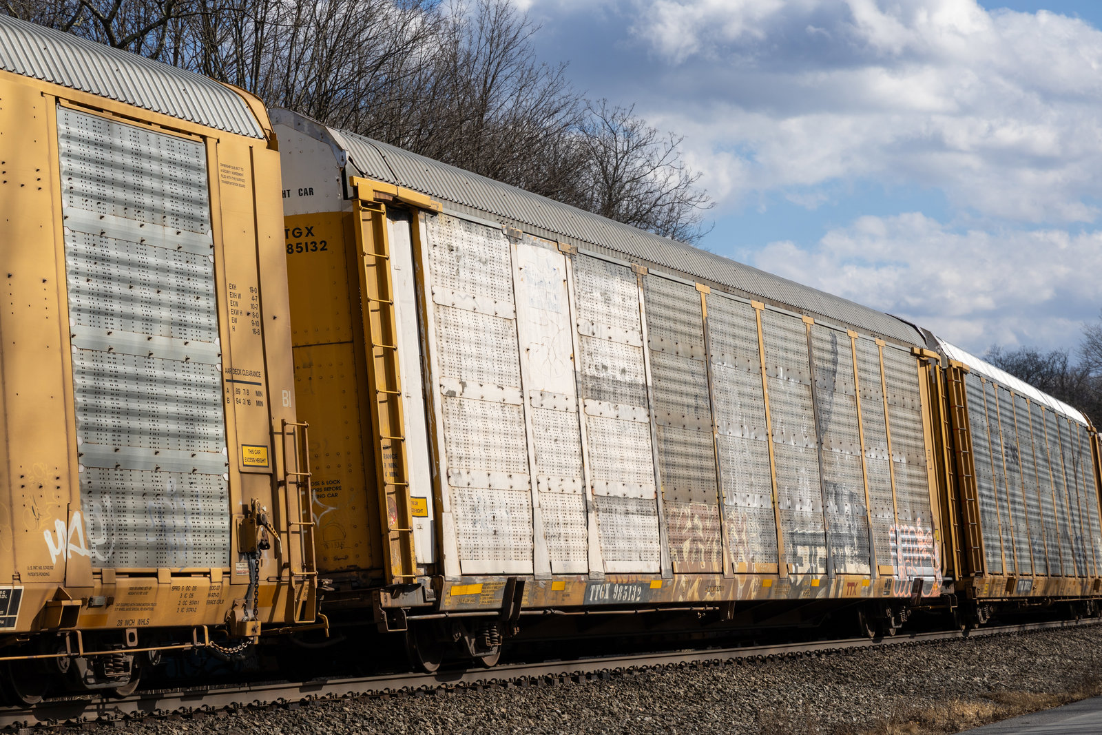 TTGX 985132