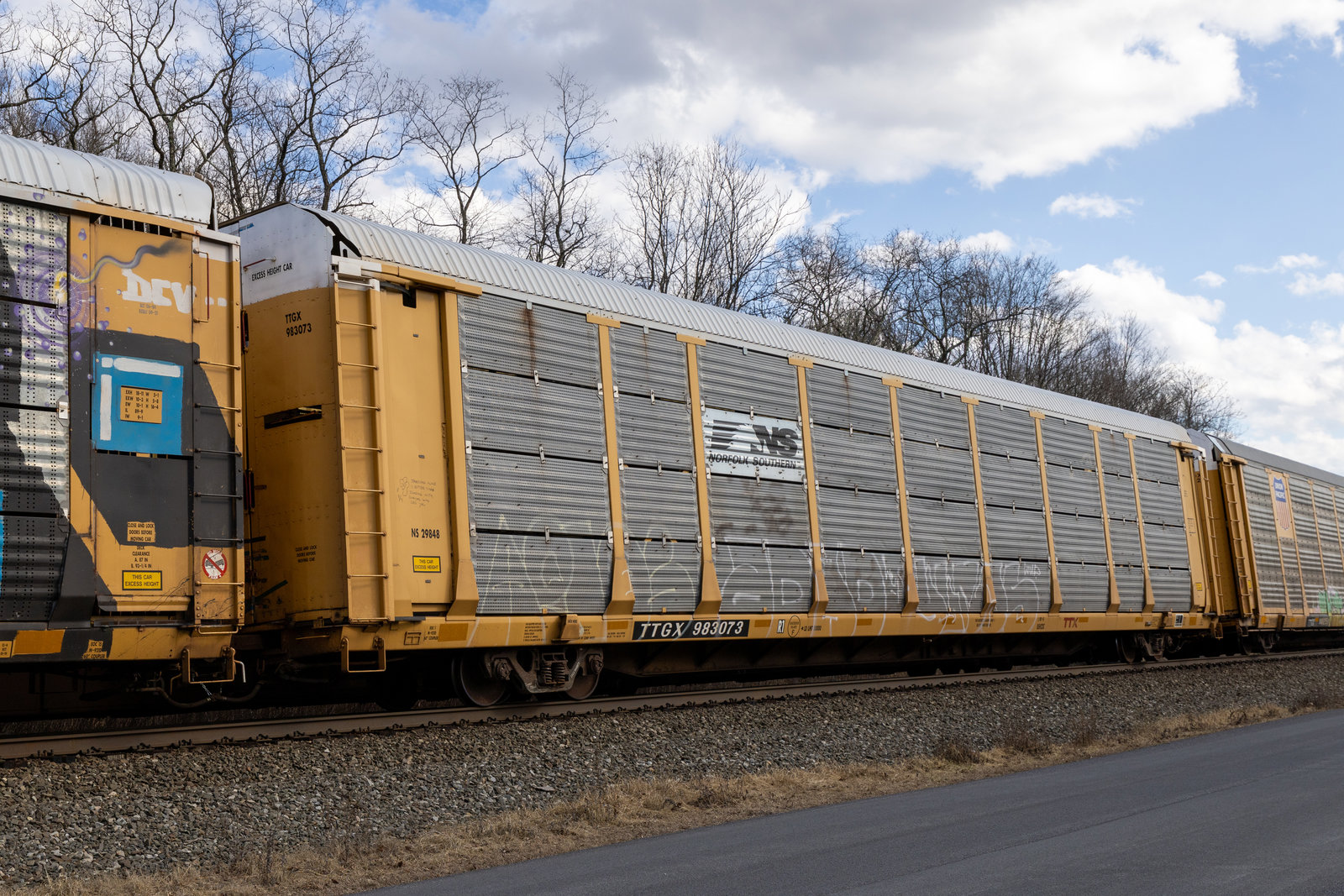 TTGX 983073
