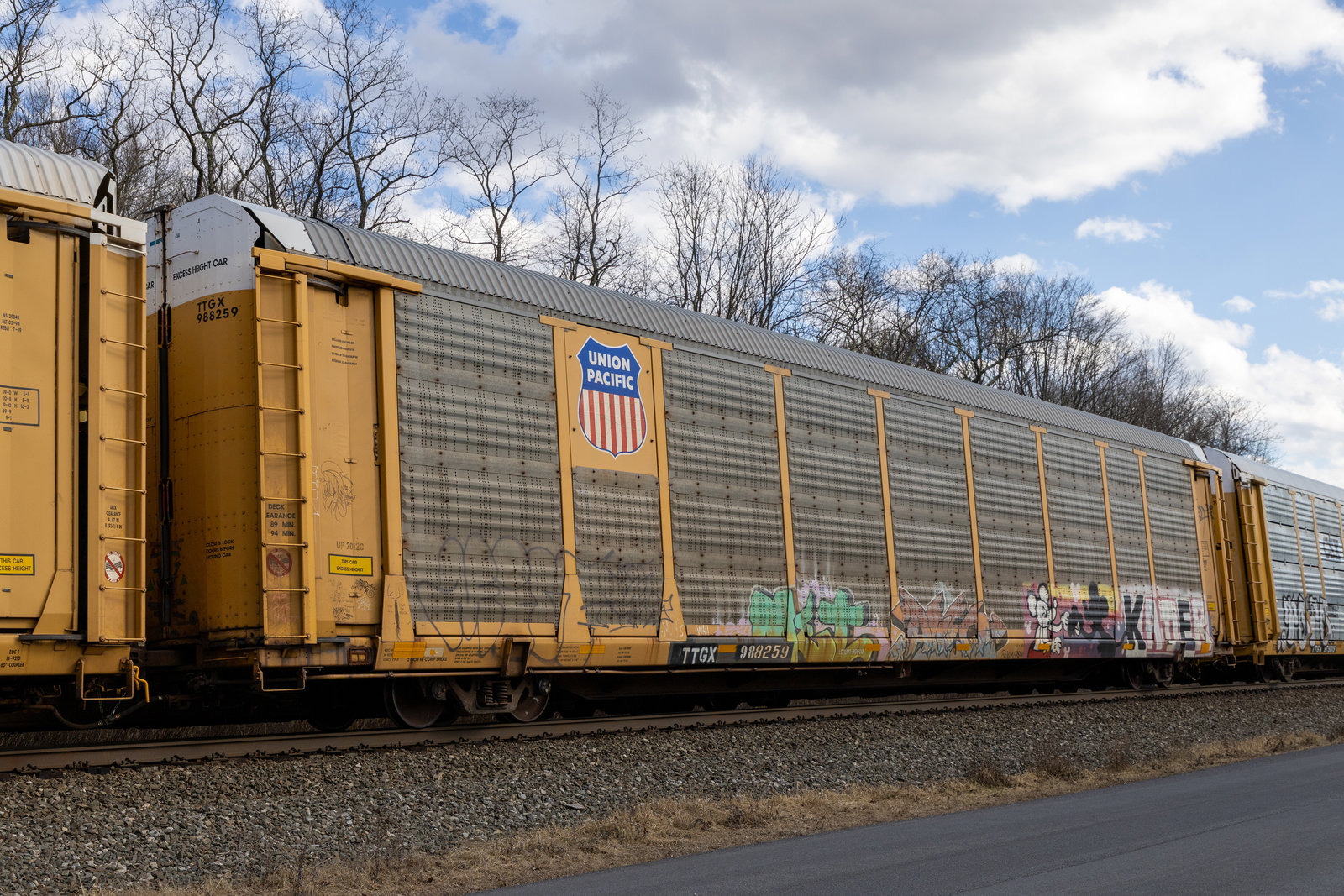 TTGX 988259