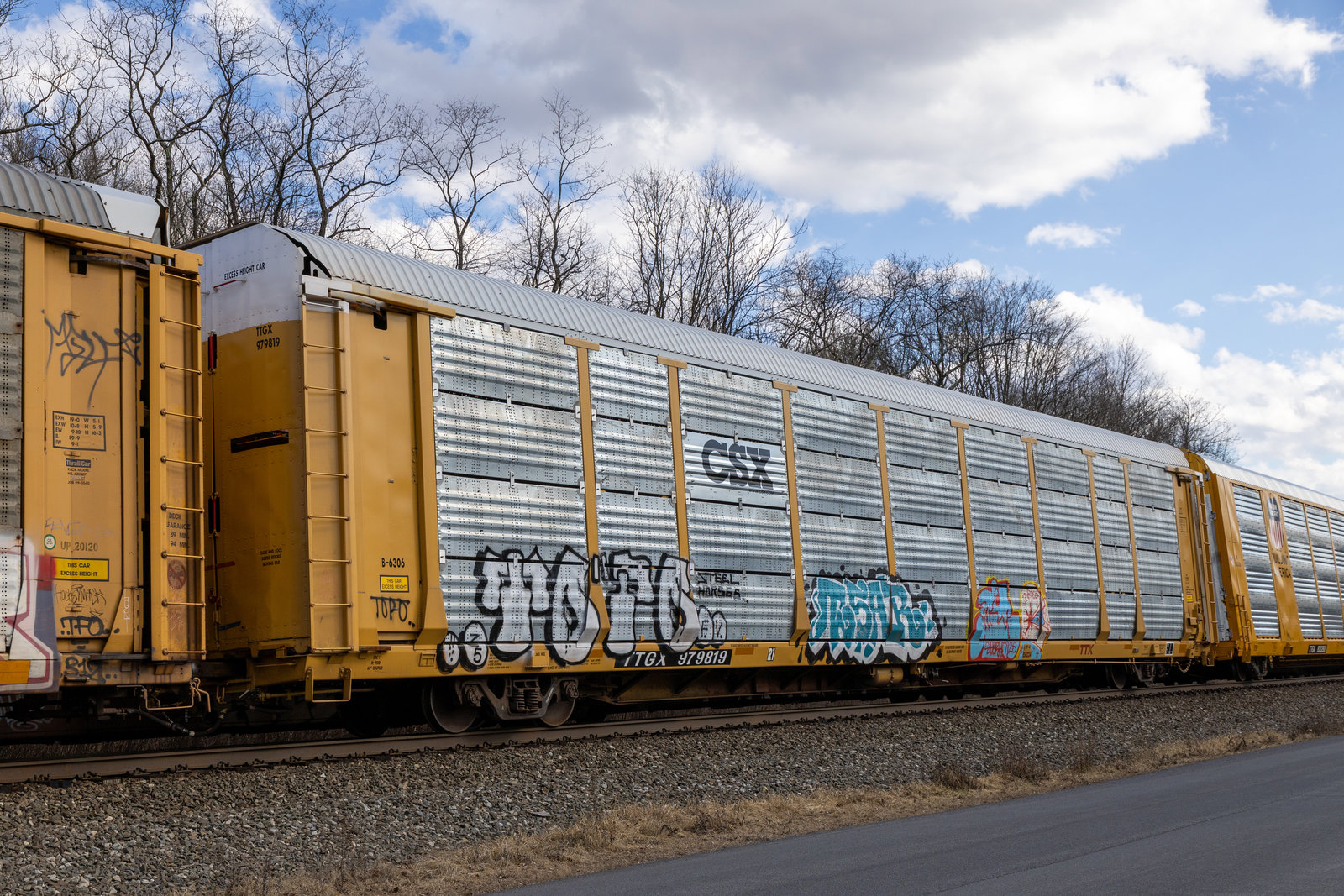 TTGX 979819