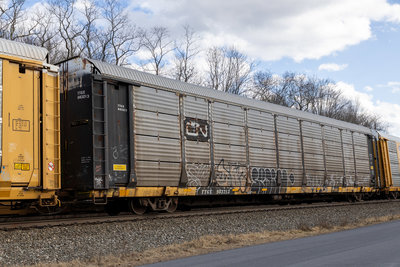 TTGX 983213