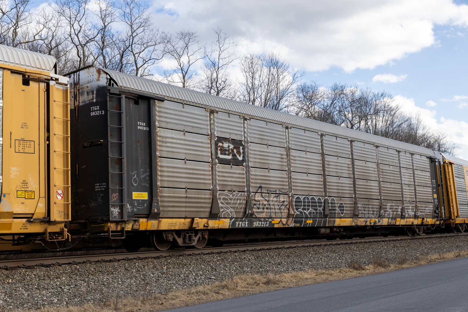 TTGX 983213