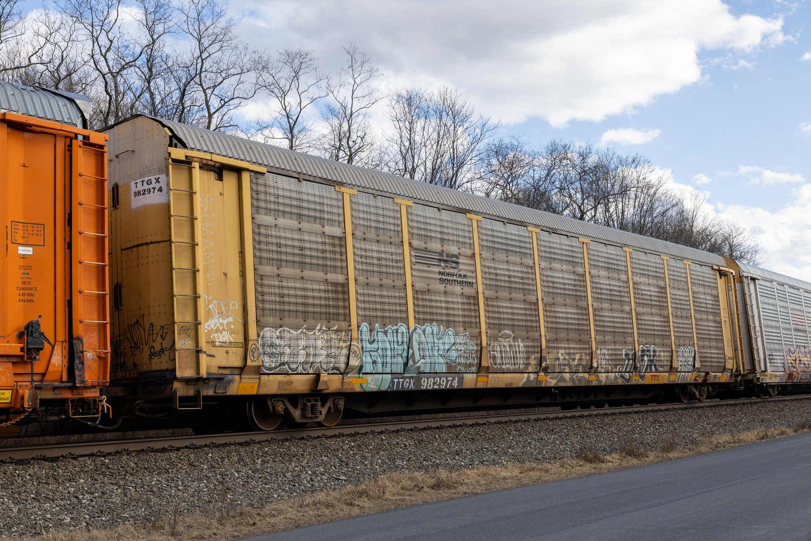 TTGX 982974