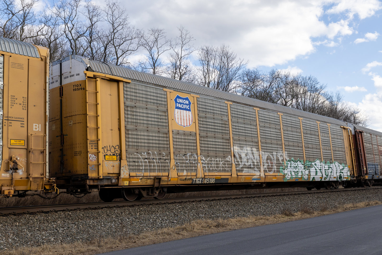TTGX 985196
