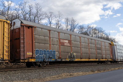TTGX 982161