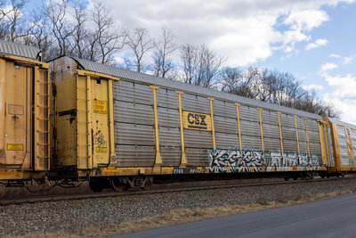 TTGX 981422
