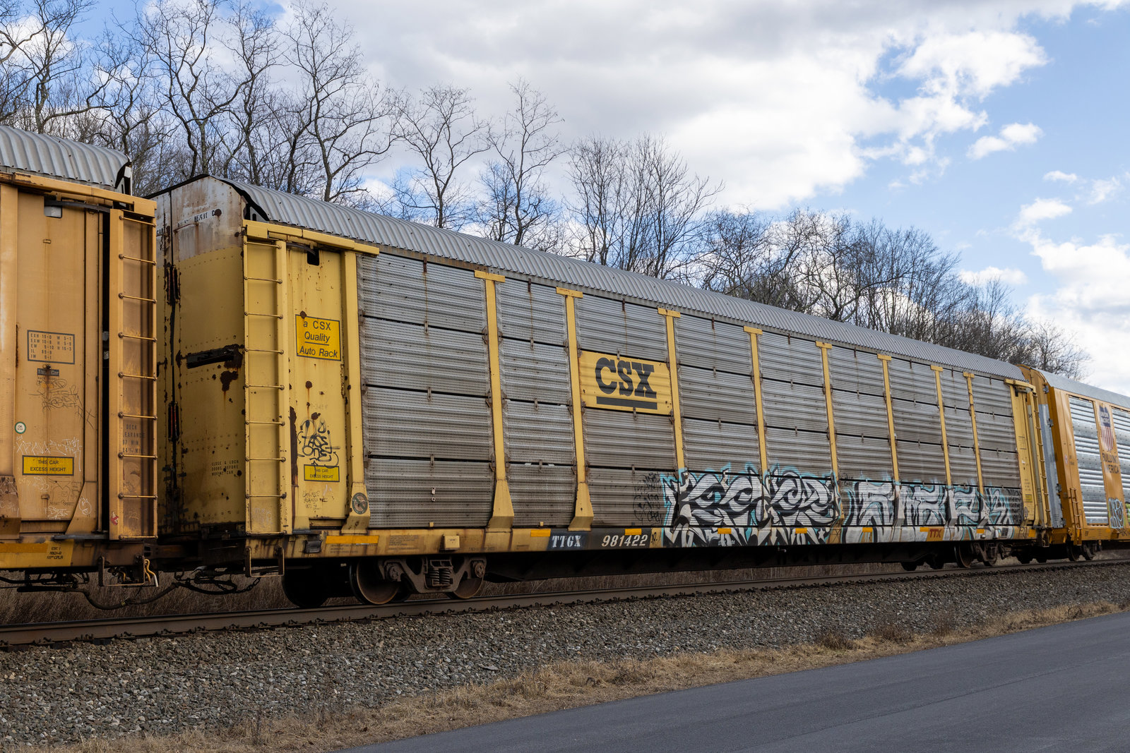 TTGX 981422