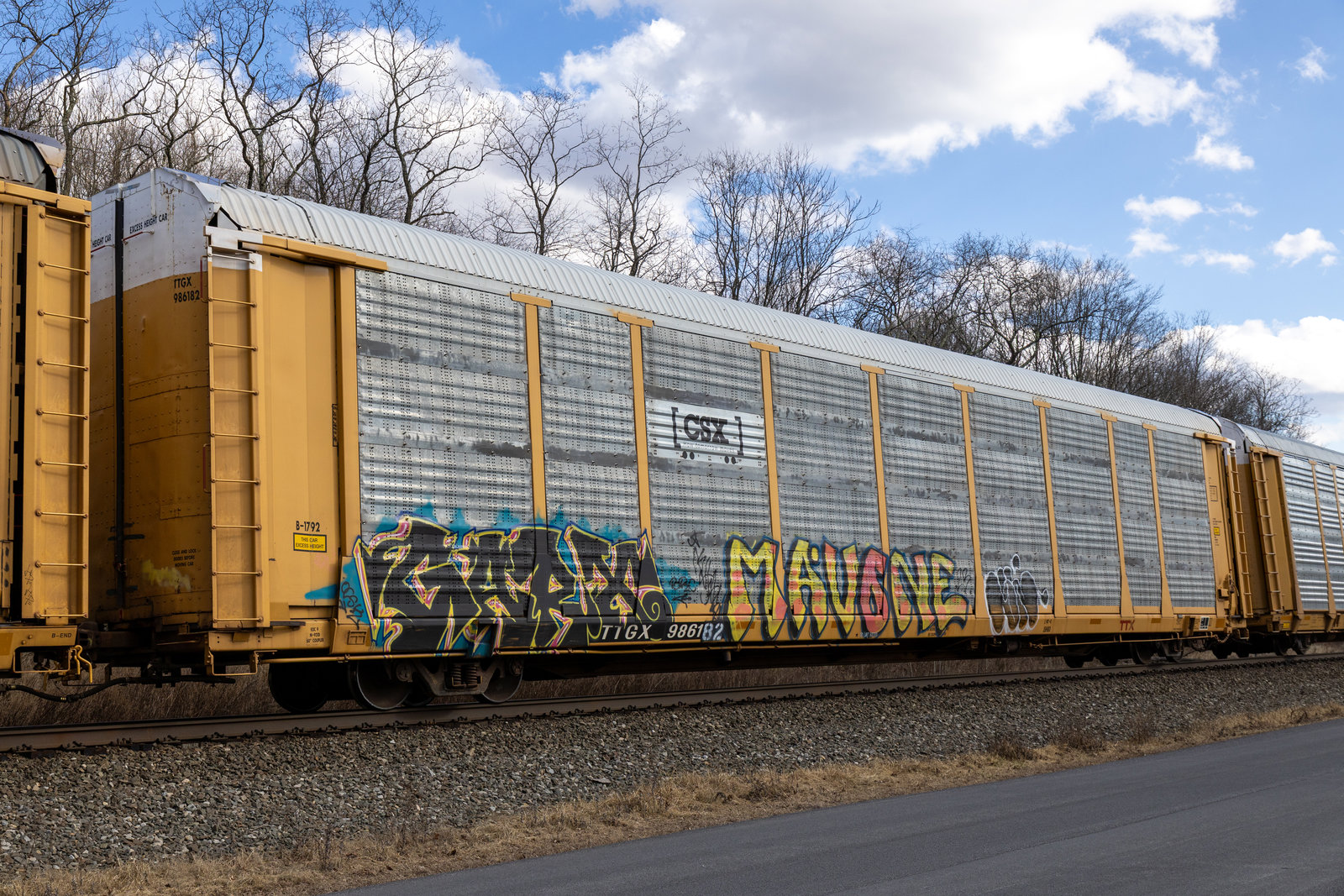 TTGX 986182
