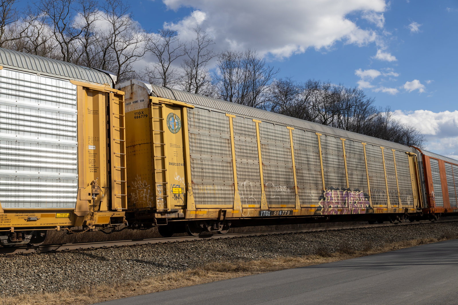 TTGX 986779