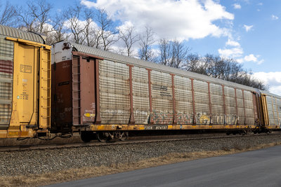 TTGX 974737