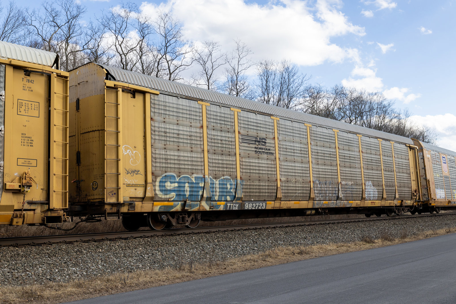 TTGX 982723