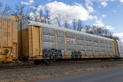 TTGX 981700