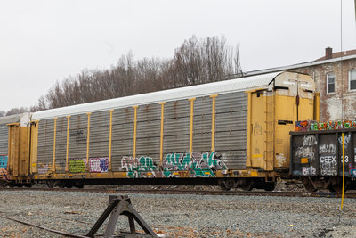 TTGX 254439