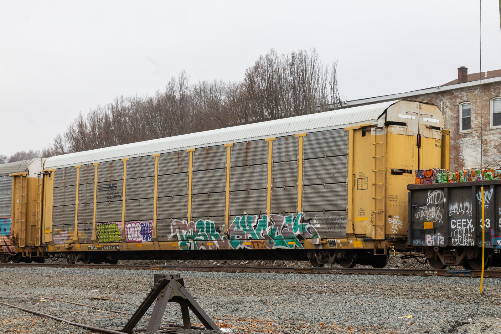 TTGX 254439