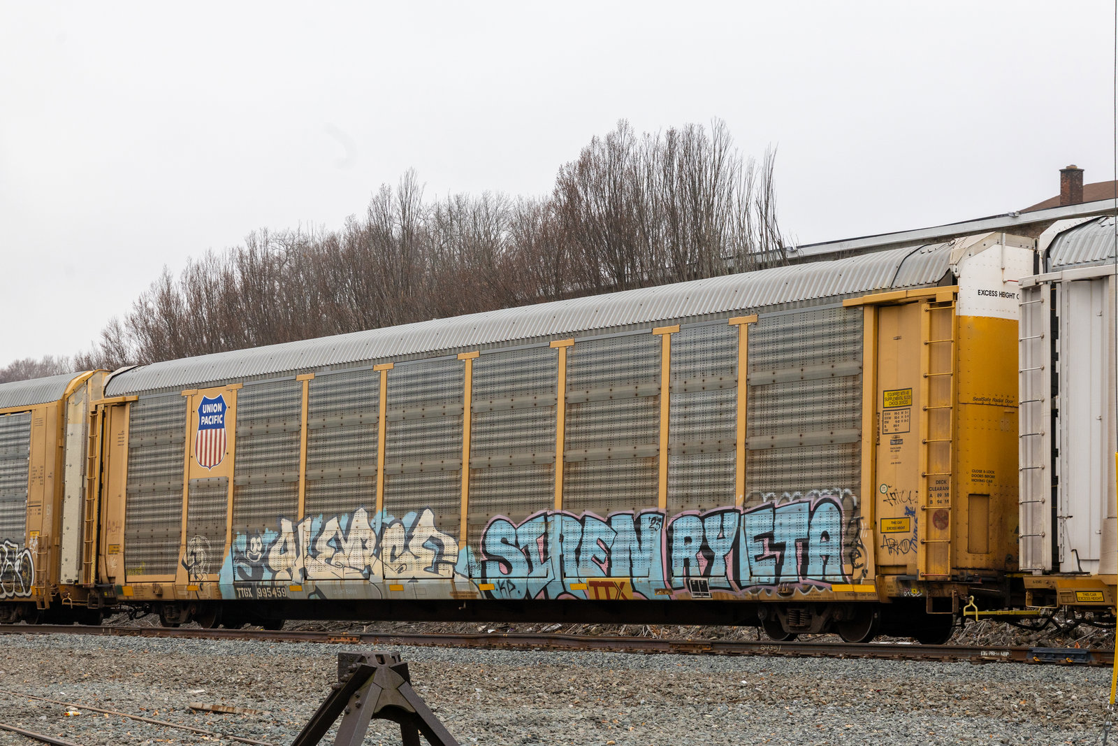 TTGX 995459
