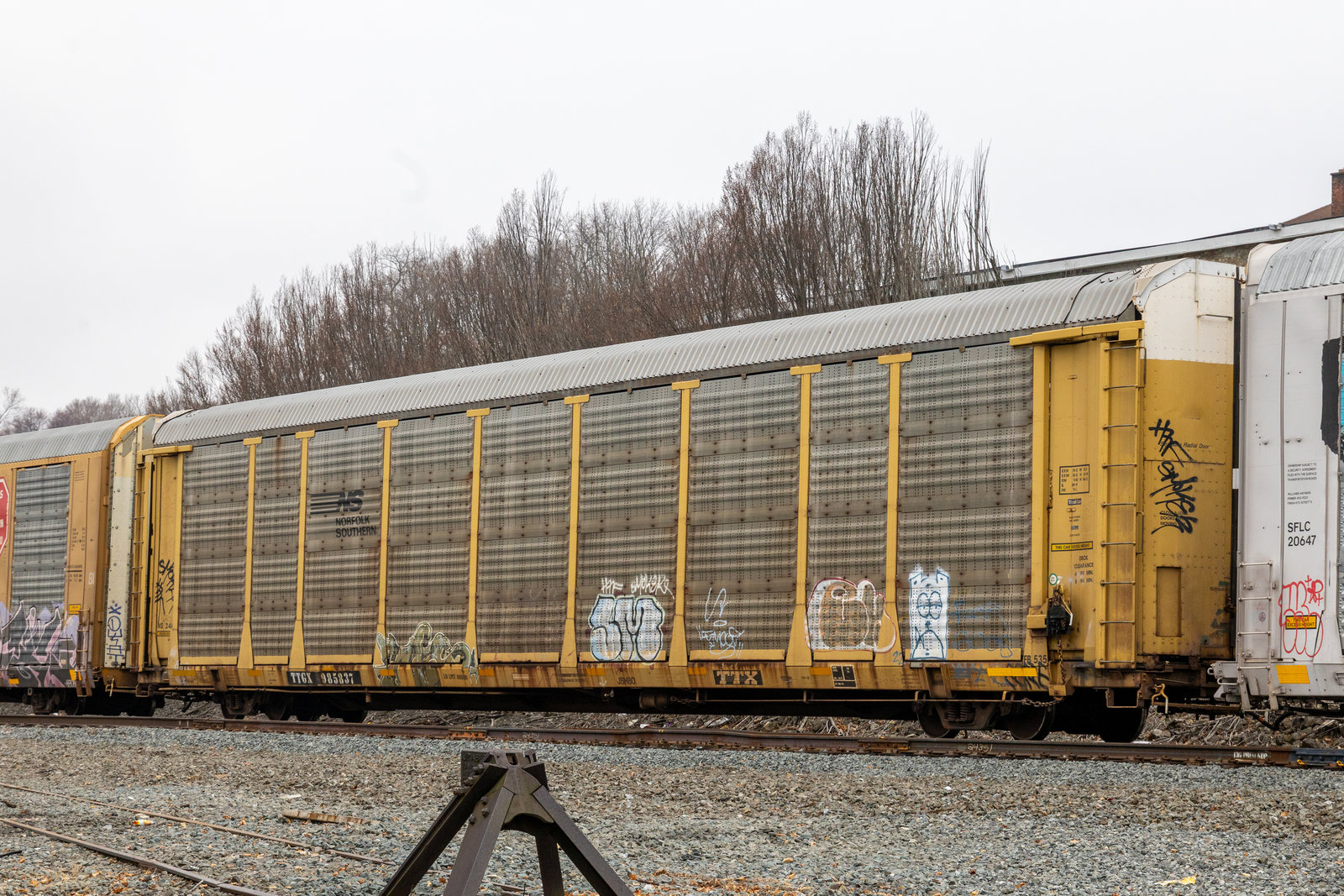 TTGX 985837