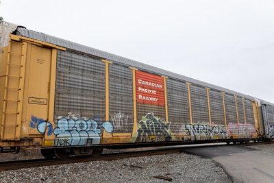 TTGX 988731