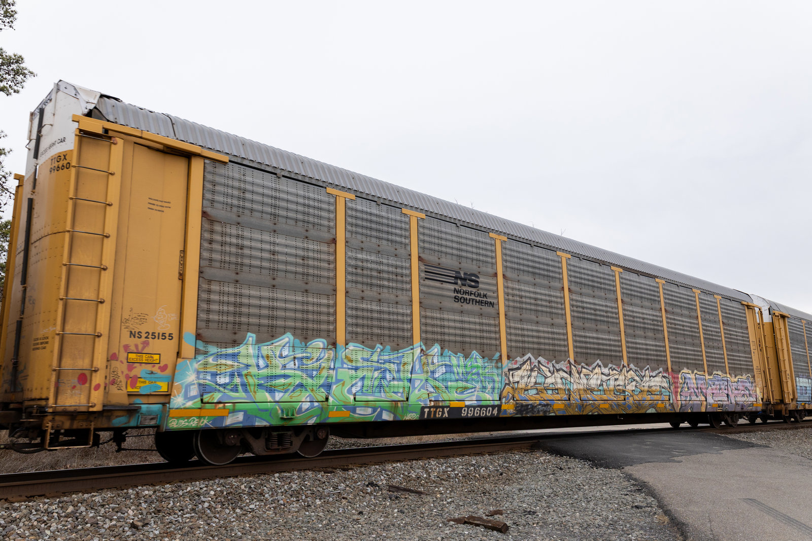 TTGX 996604