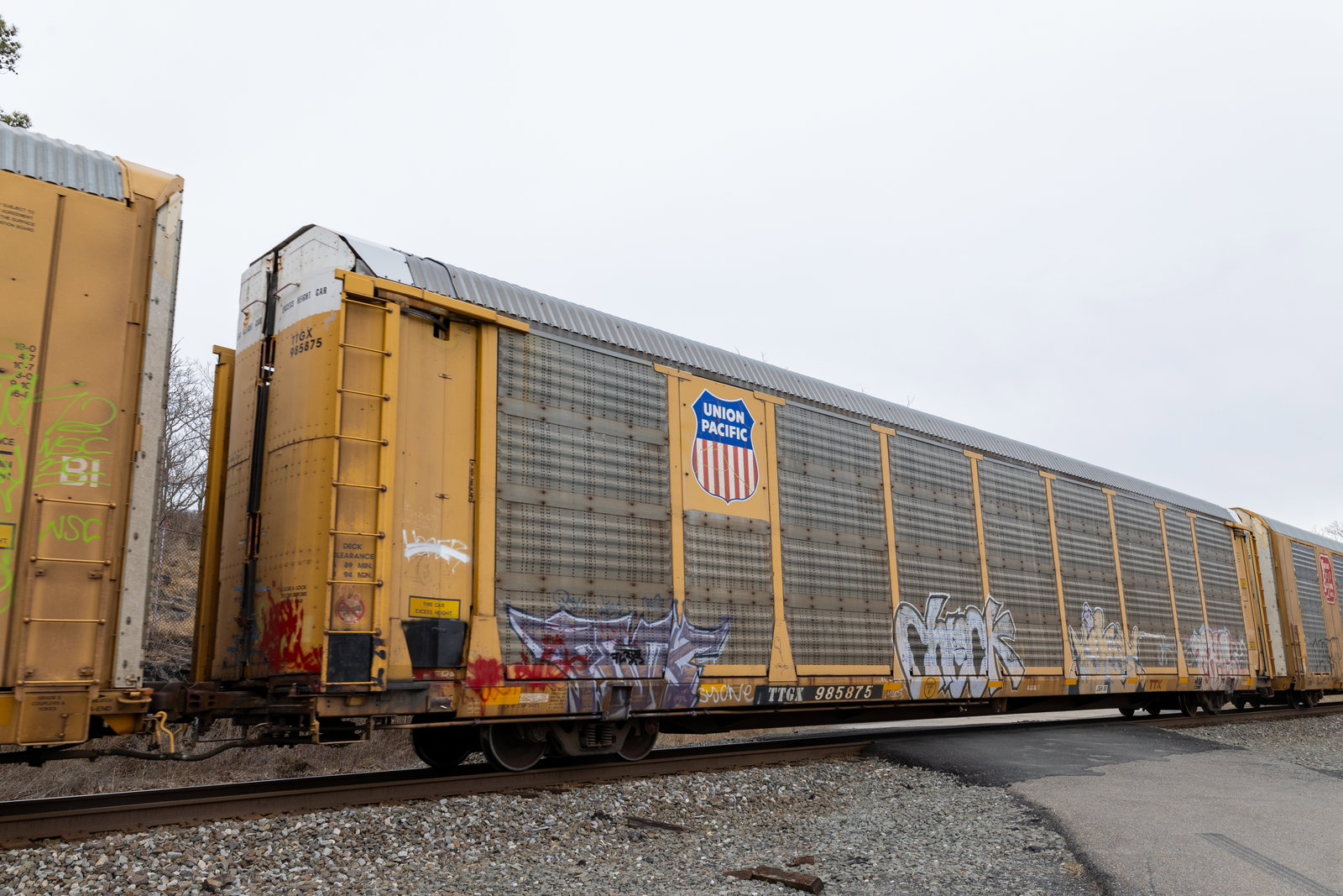 TTGX 985875