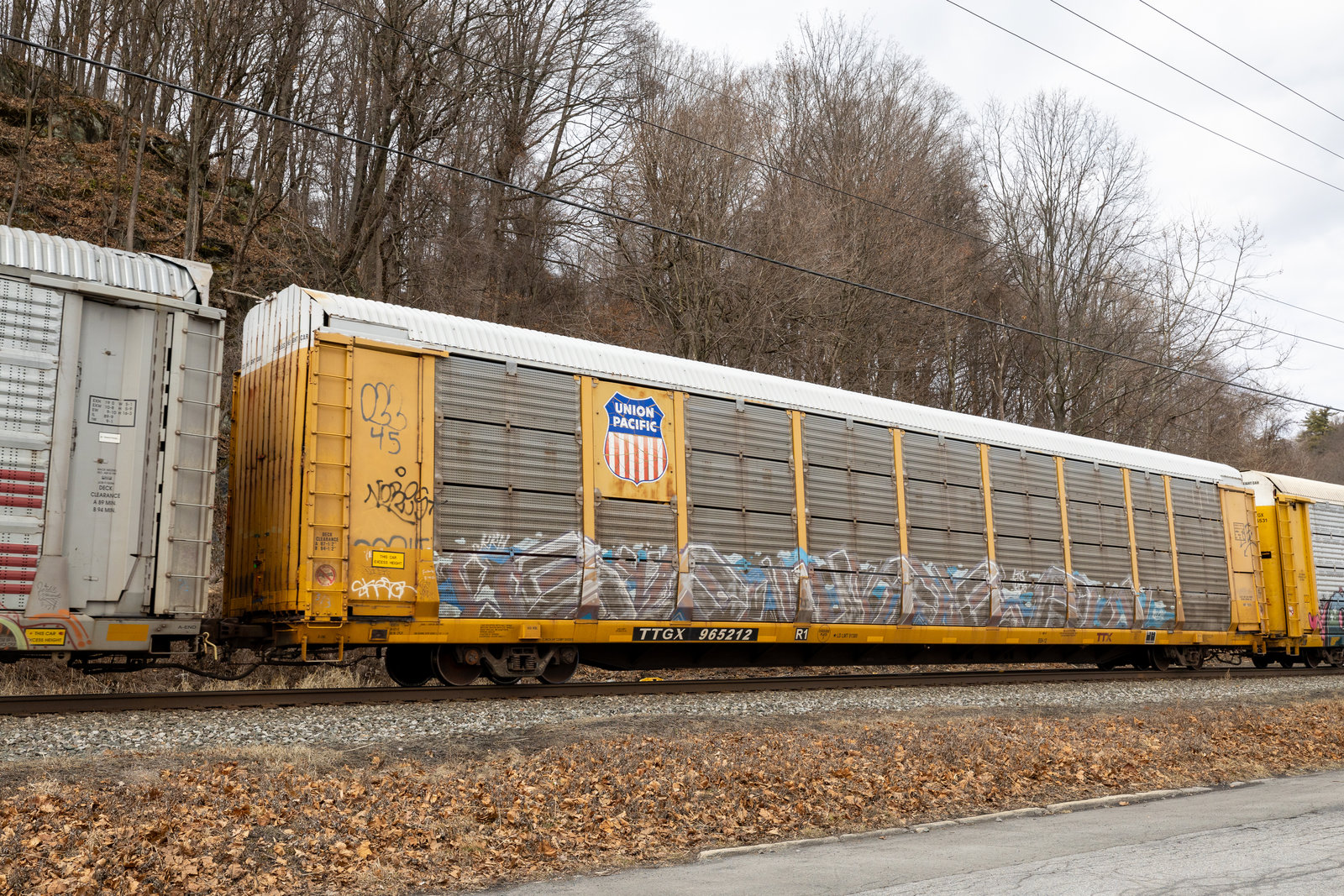 TTGX 965212