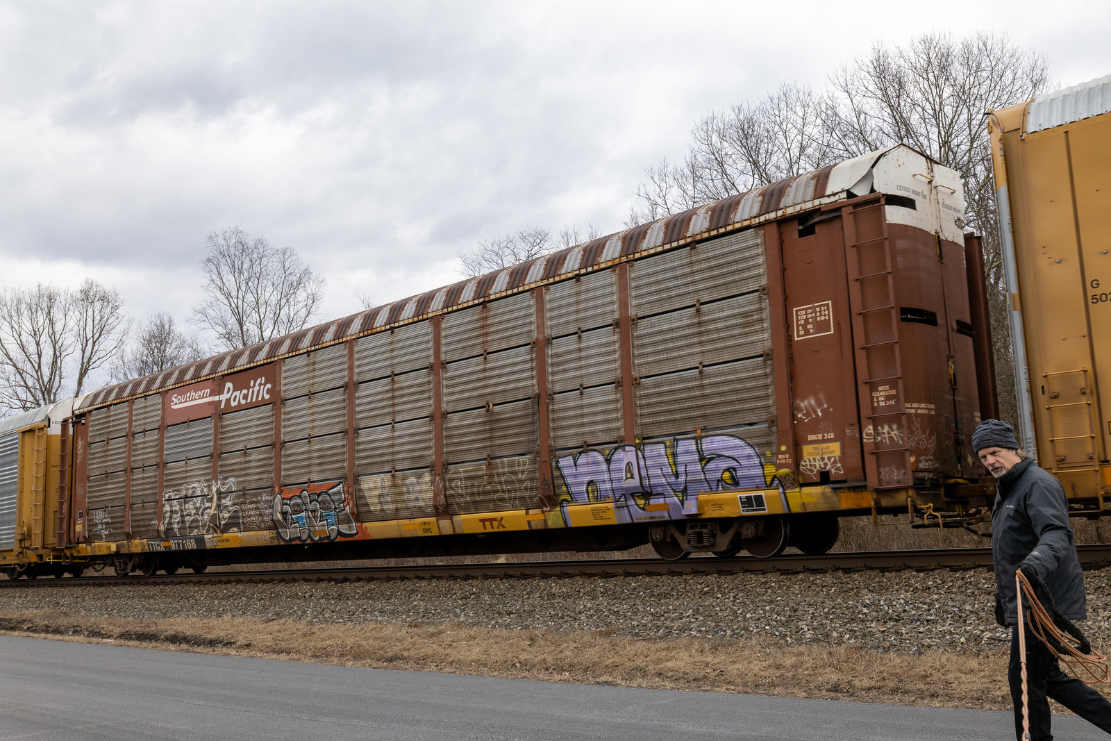 TTGX 977168
