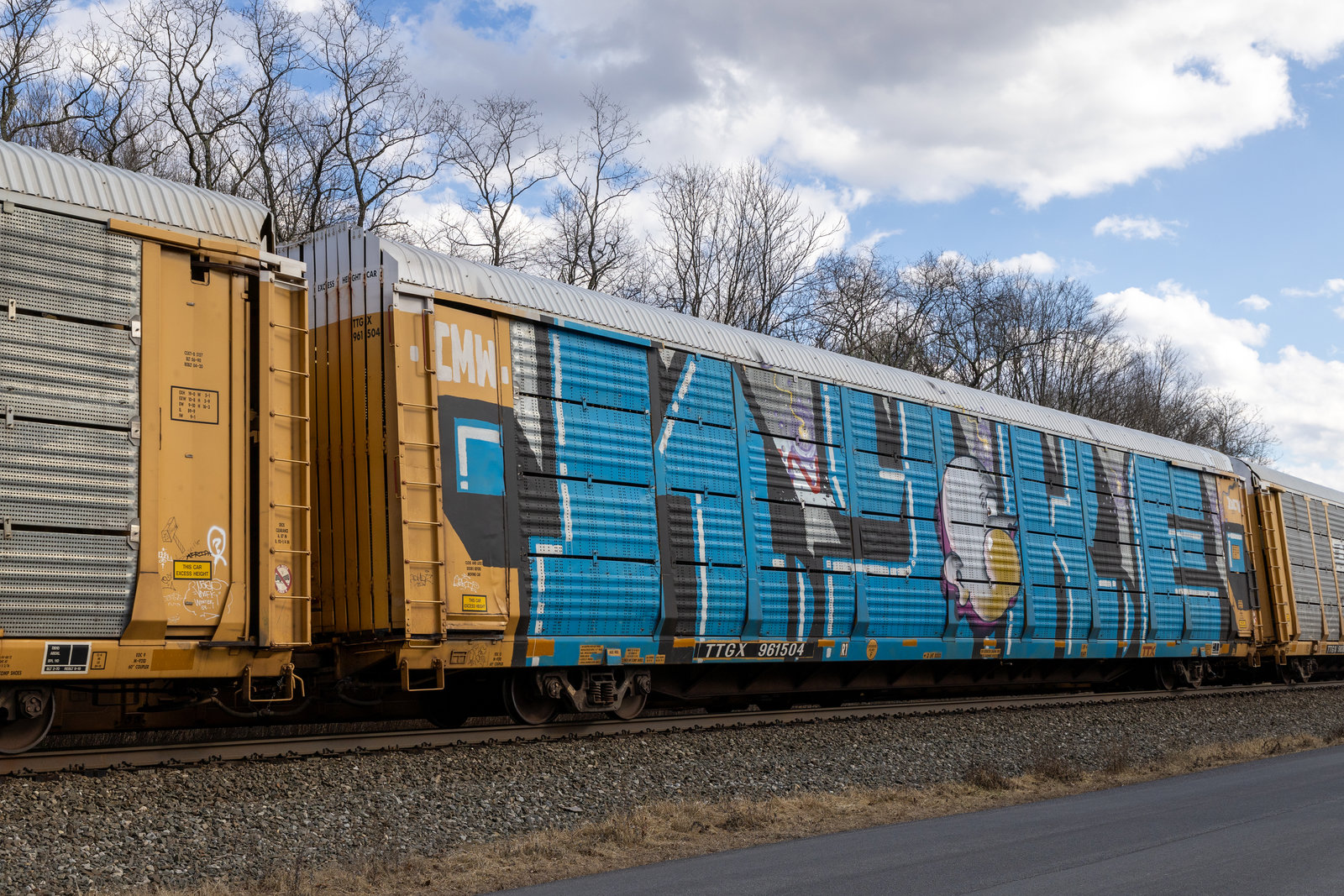 TTGX 961504