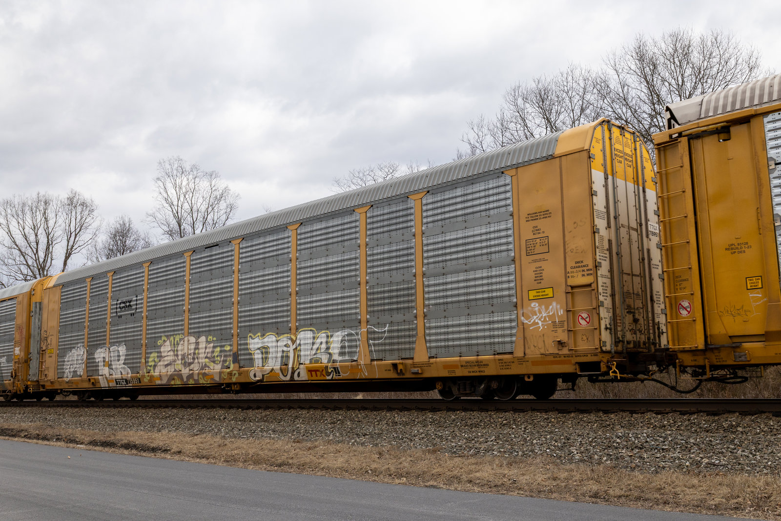 TTGX 715951