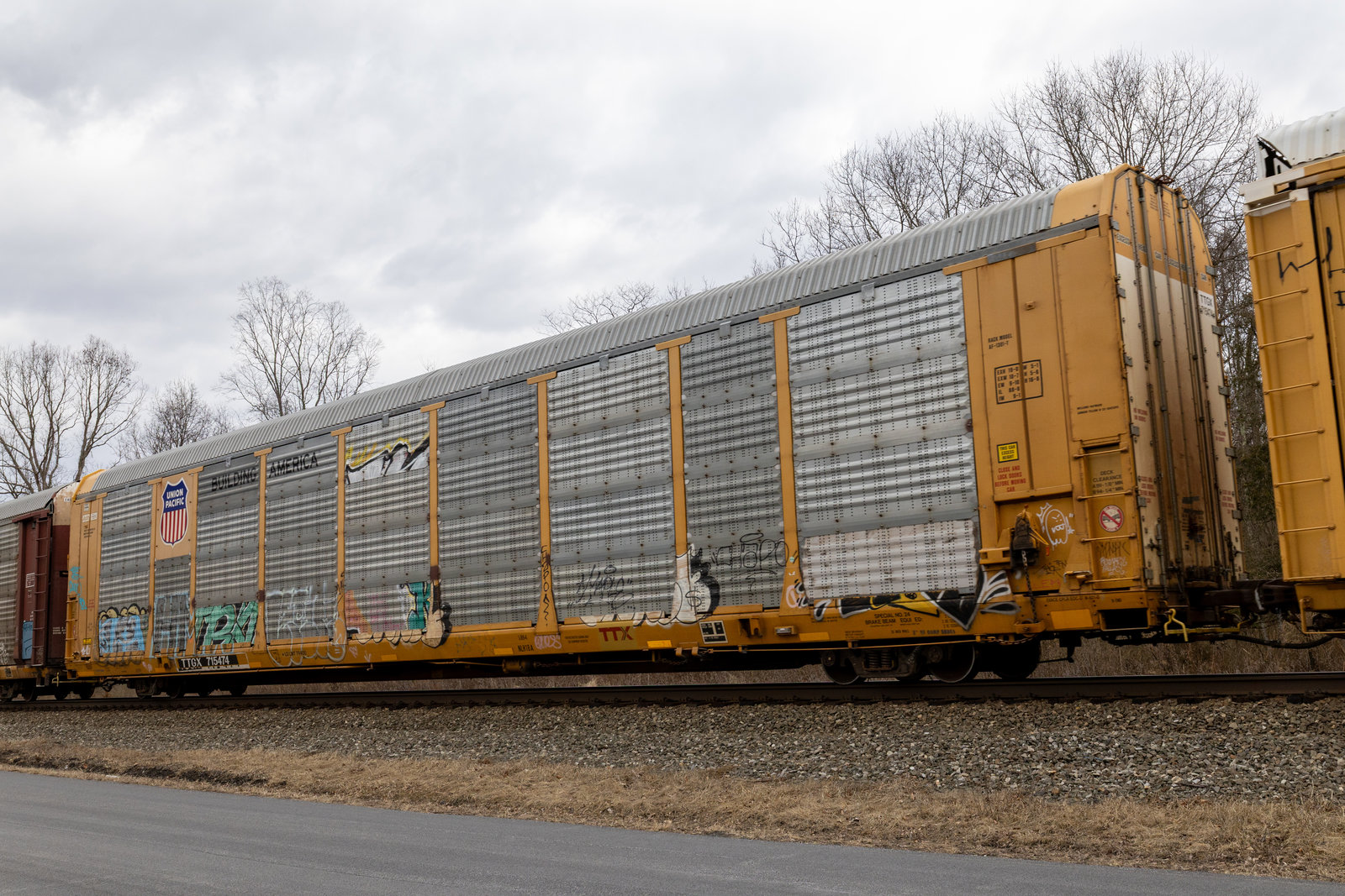 TTGX 715474