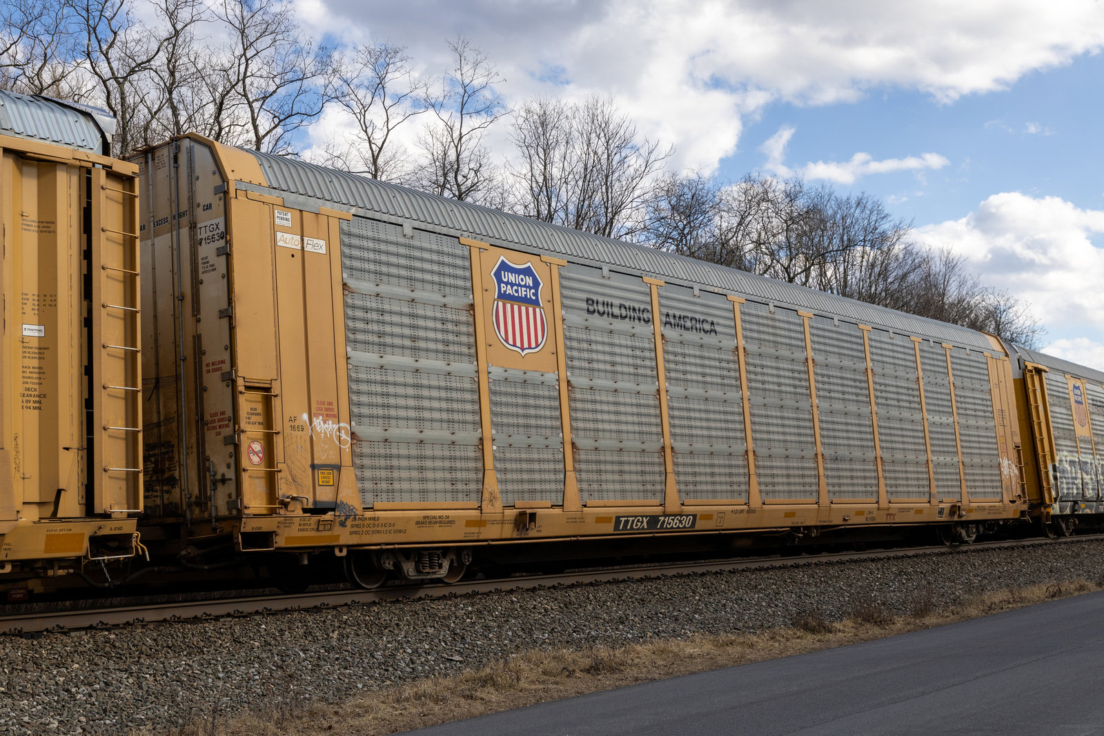 TTGX 715630