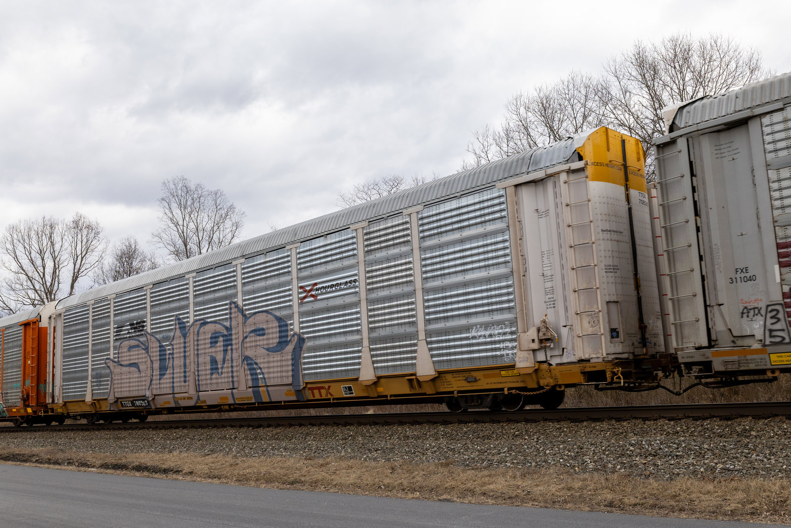 TTGX 708263
