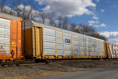 TTGX 709386
