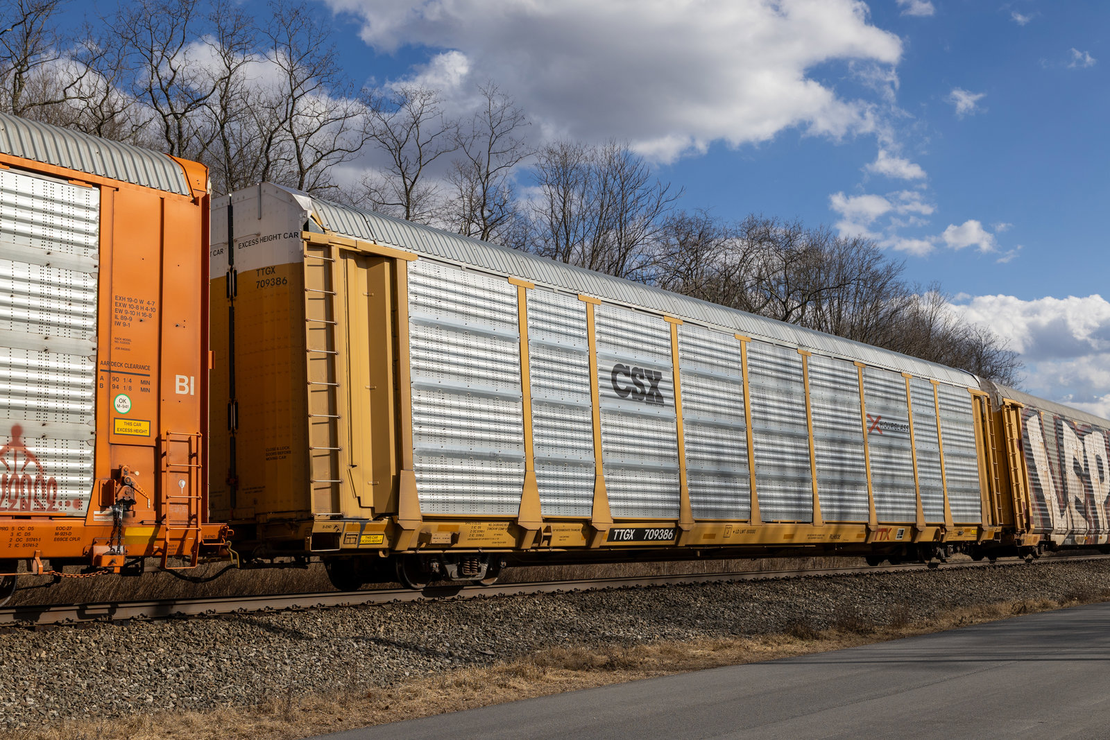 TTGX 709386